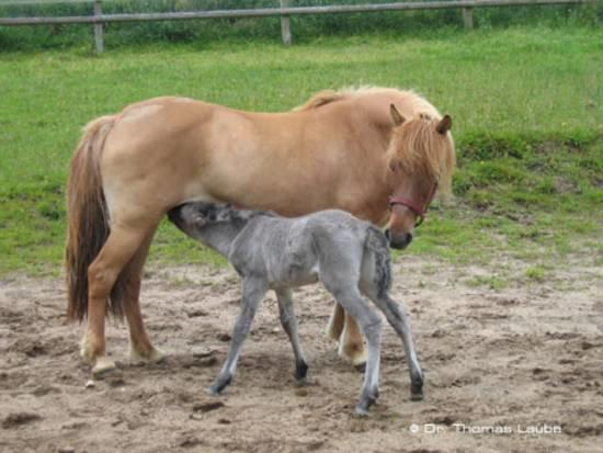 Interessanter Fall