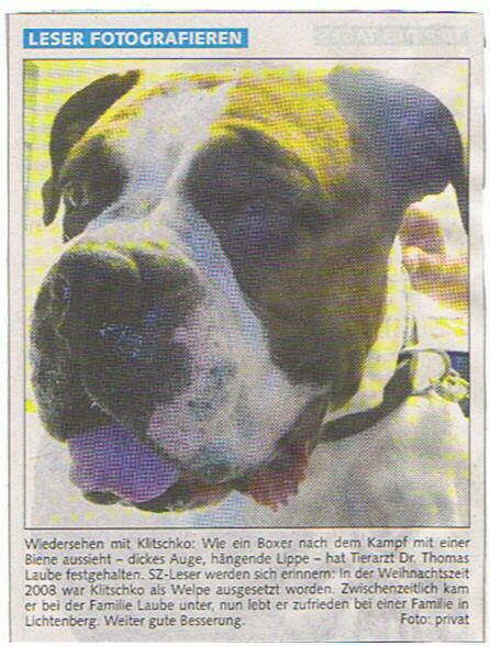 Zeitungsartikel 1