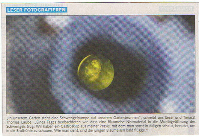 Zeitungsartikel 2