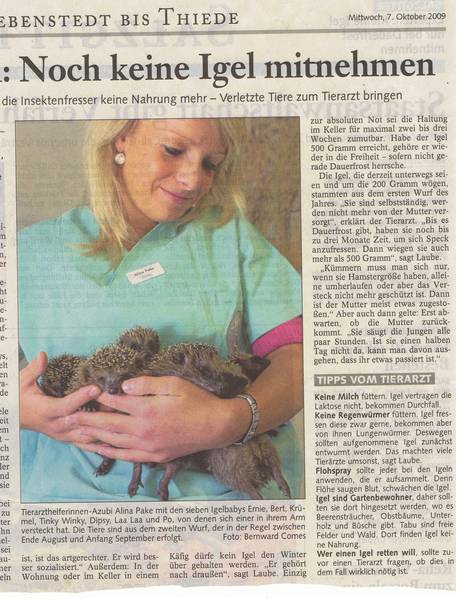 Zeitungsartikel 3