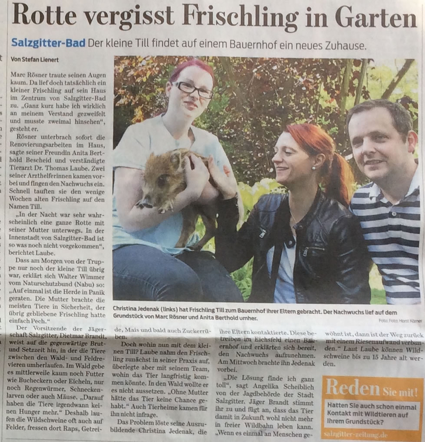 Zeitungsartikel 5