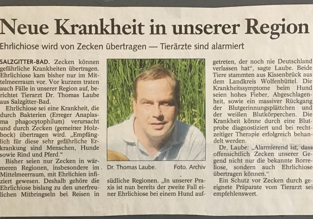Zeitungsartikel 6