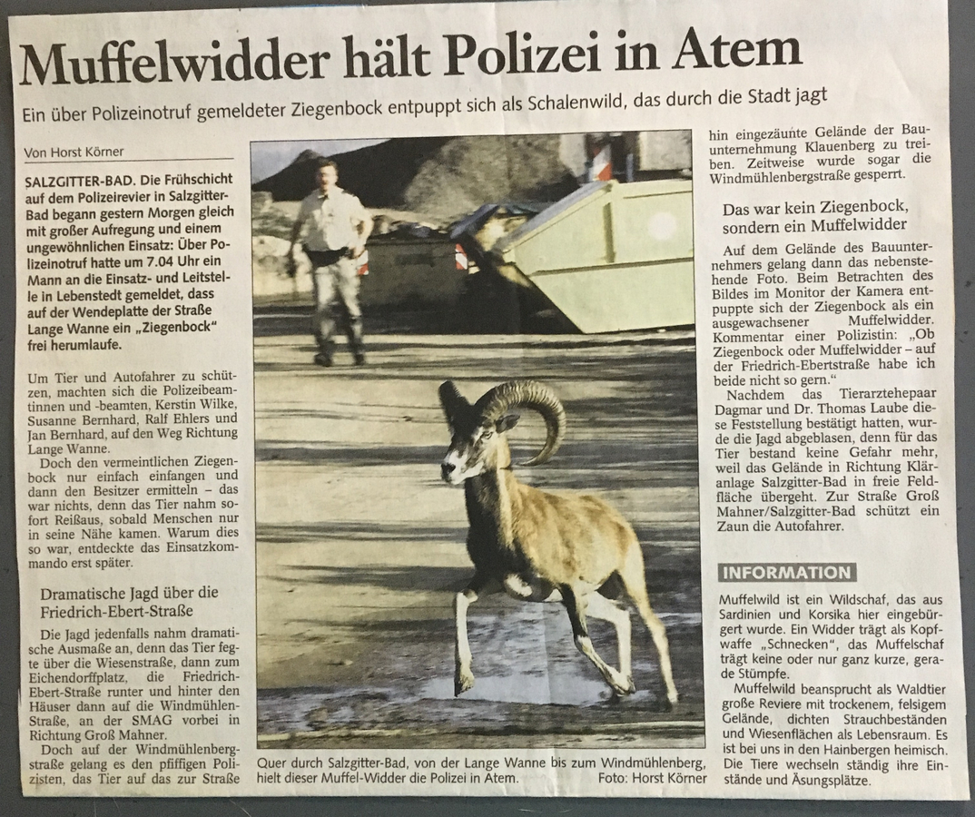 Zeitungsartikel 7