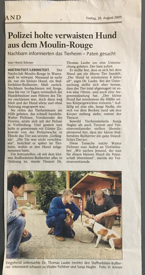 Zeitungsartikel 8