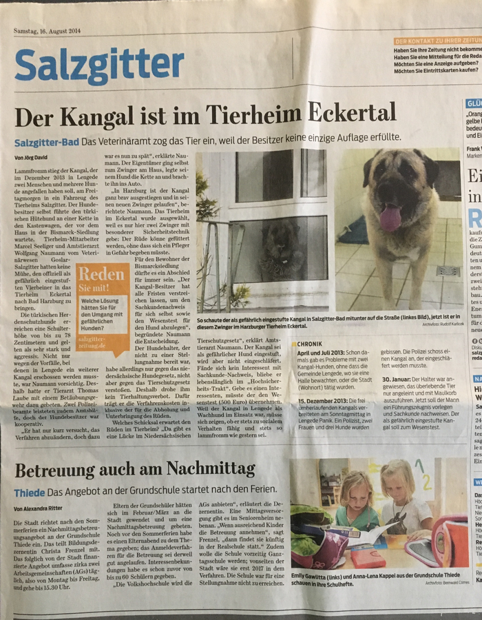 Zeitungsartikel 9