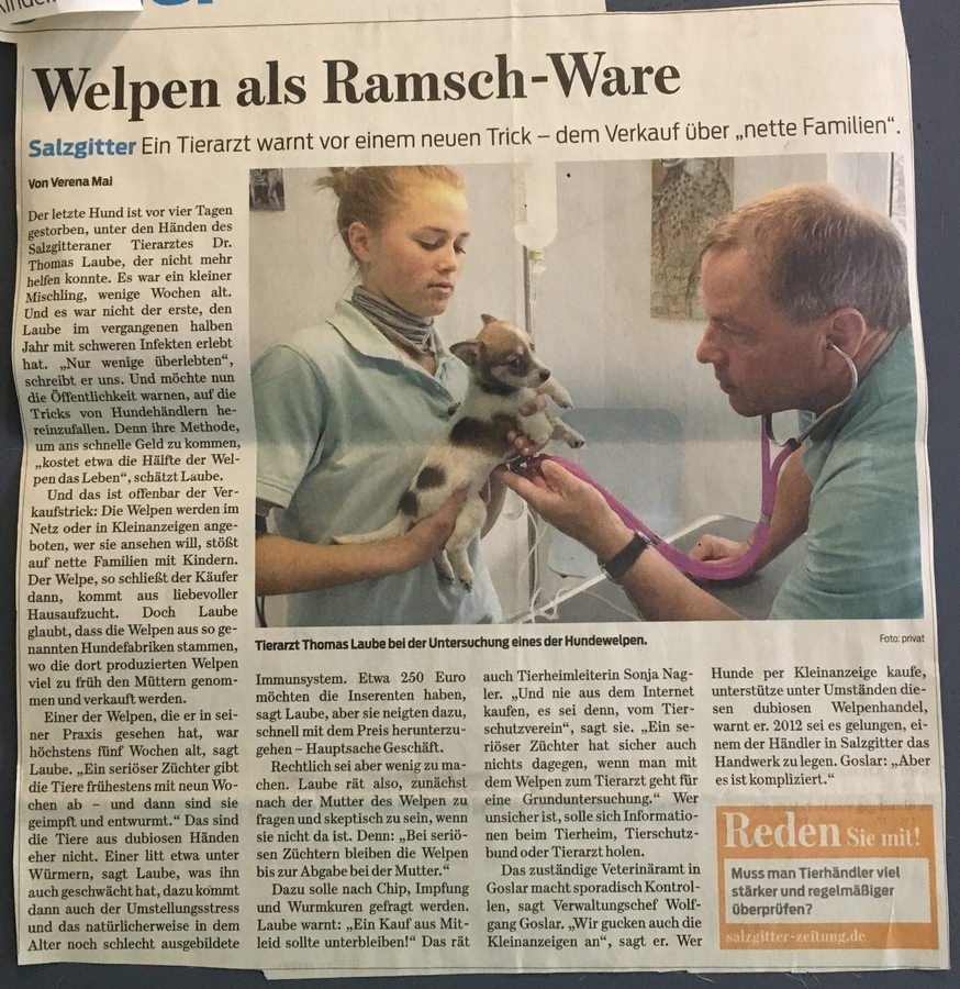 Zeitungsartikel 10