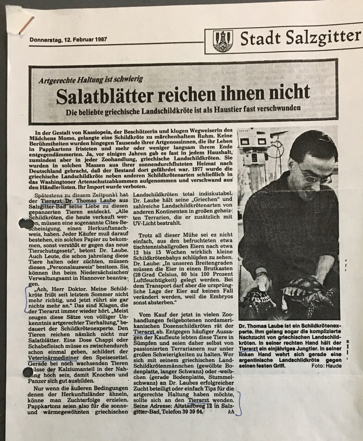 Zeitungsartikel 11
