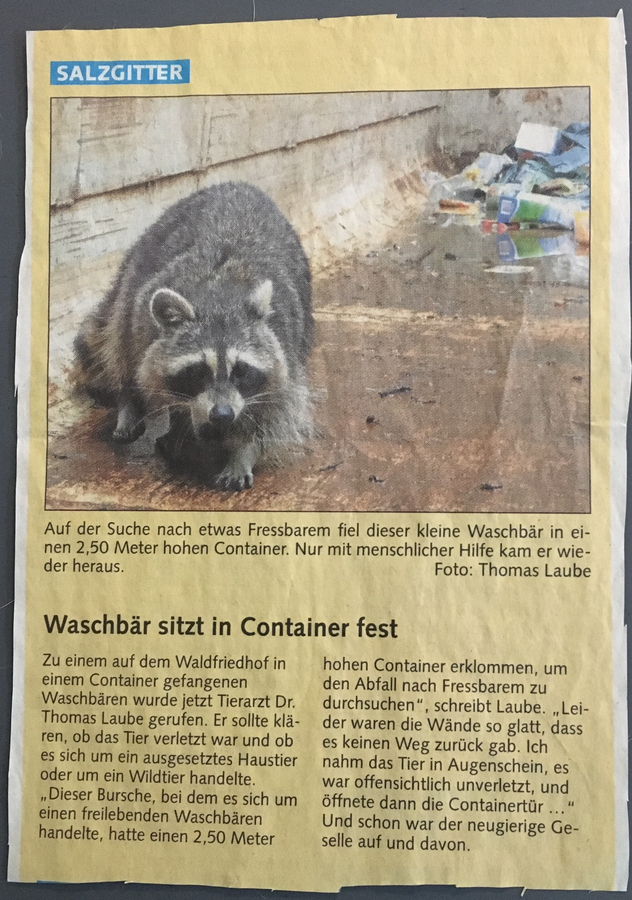 Zeitungsartikel 12