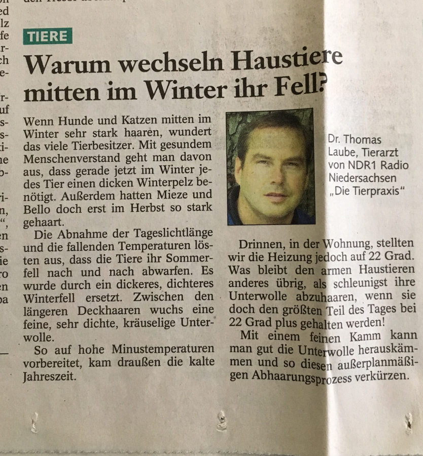 Zeitungsartikel 13