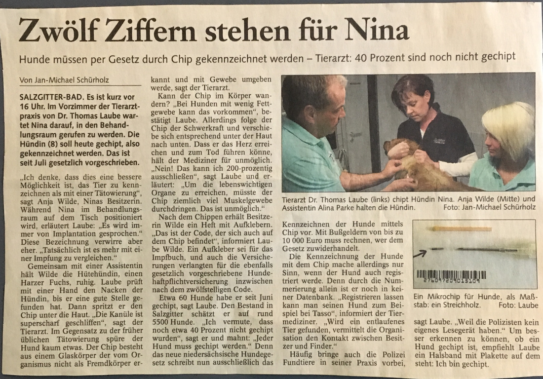Zeitungsartikel 15