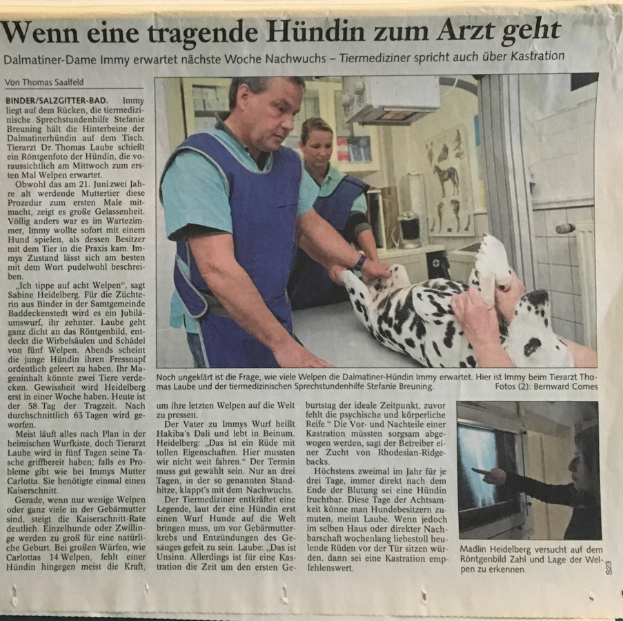 Zeitungsartikel 16