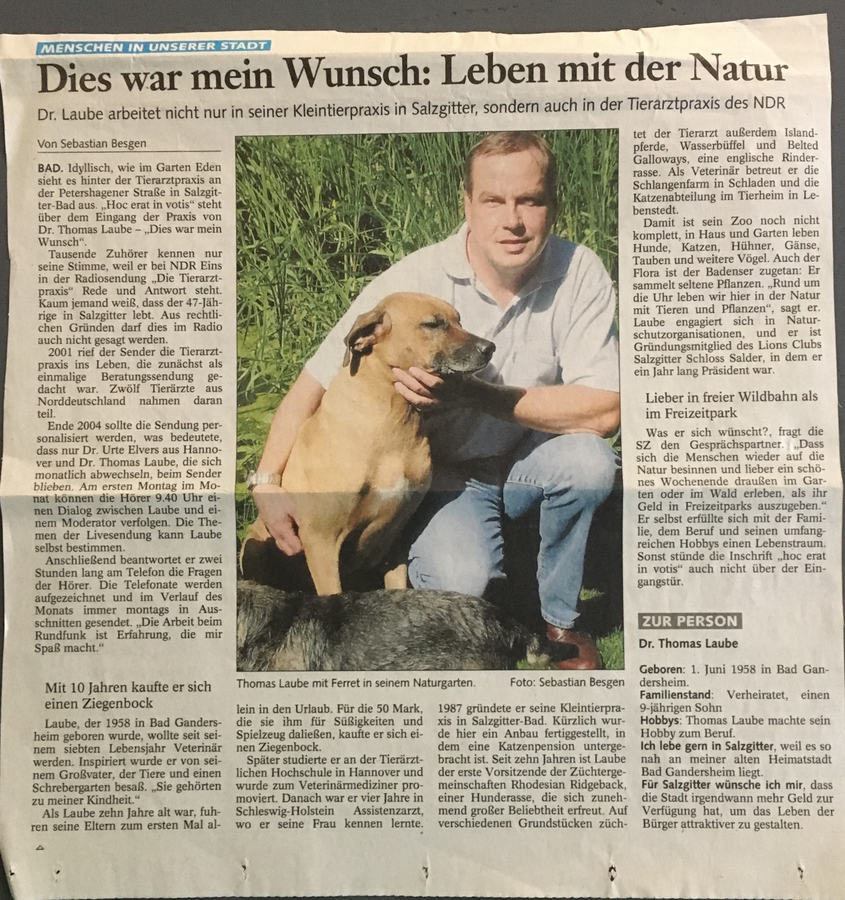 Zeitungsartikel 17