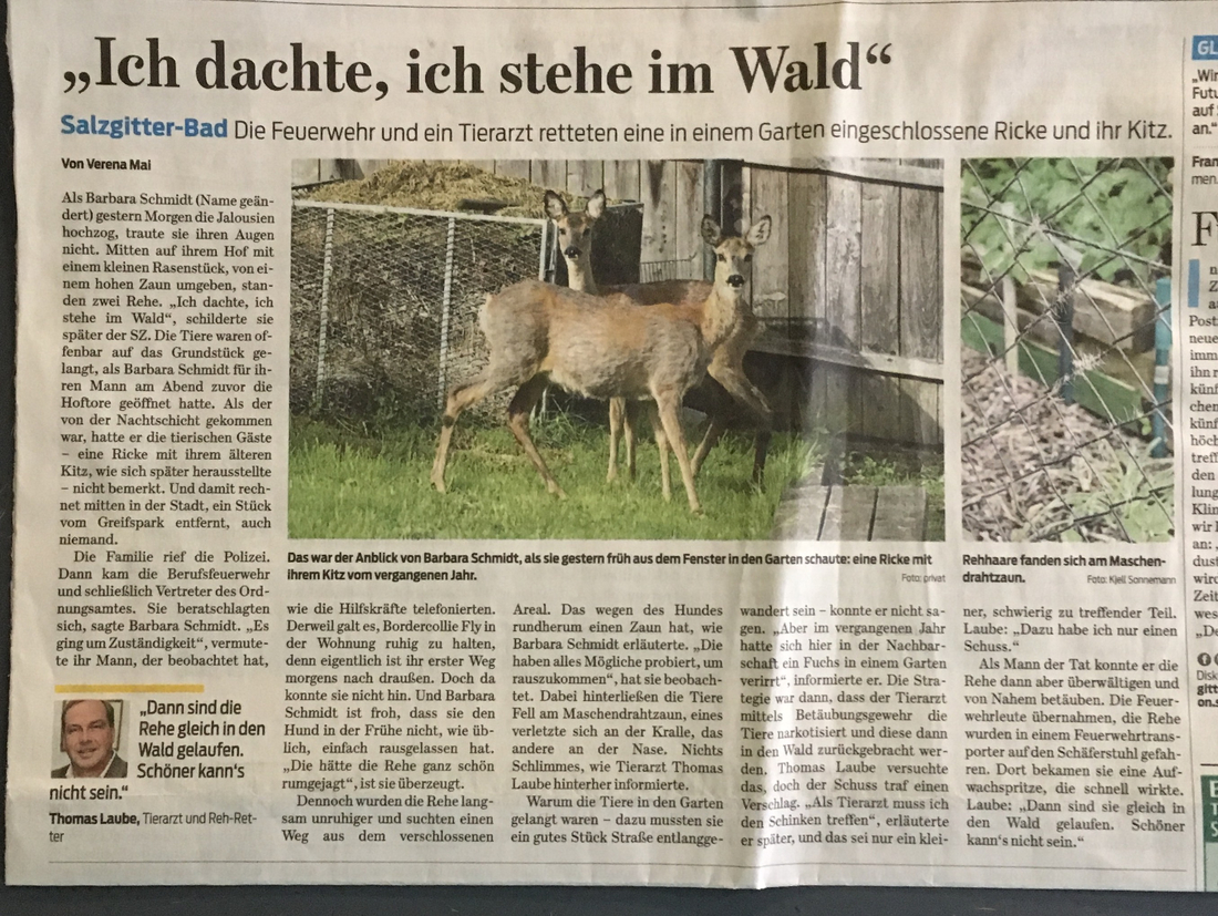 Zeitungsartikel 18