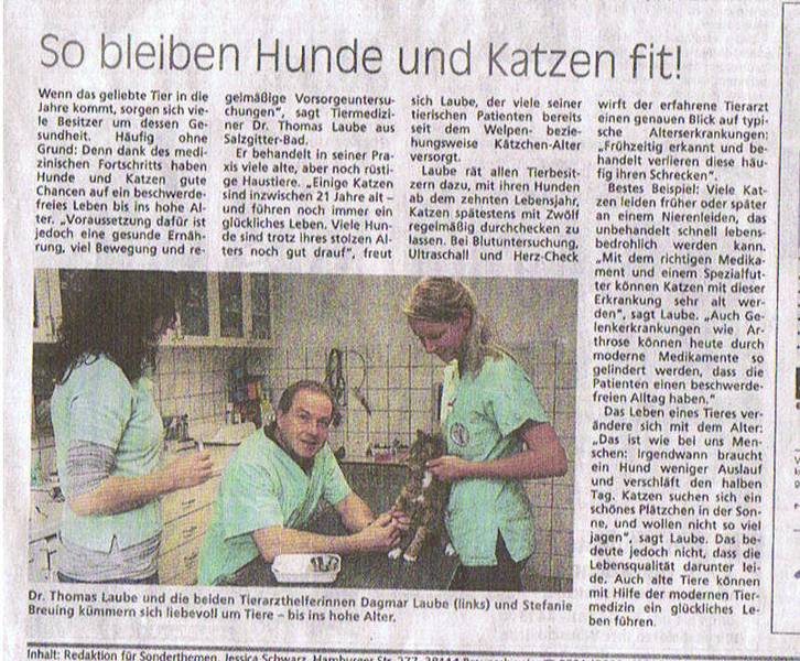 Zeitungsartikel 19