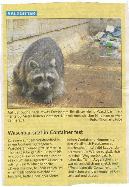 Zeitungsartikel 22