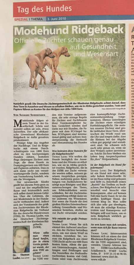 Zeitungsartikel 27