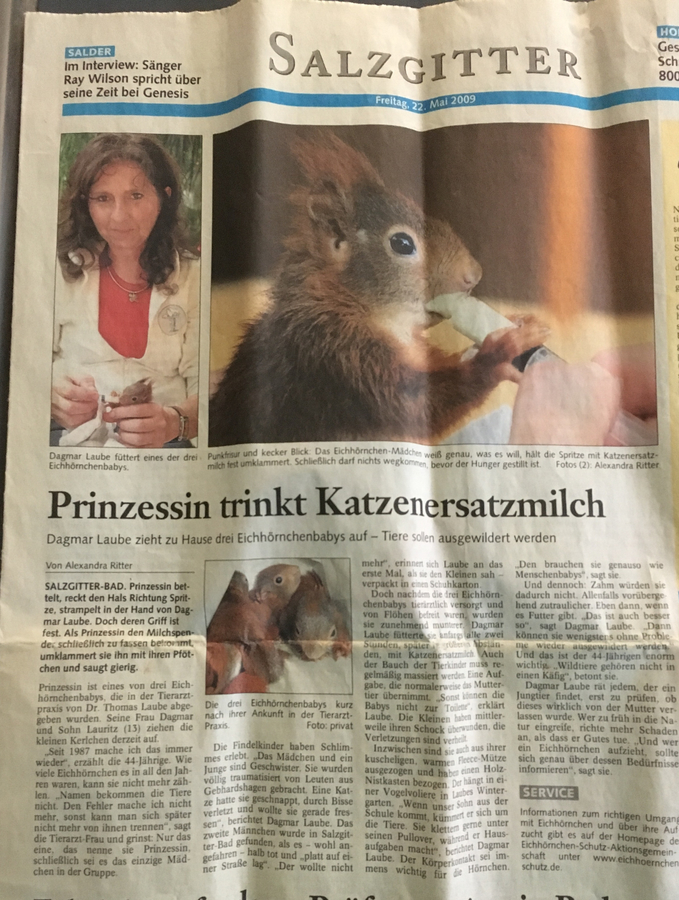 Zeitungsartikel 29