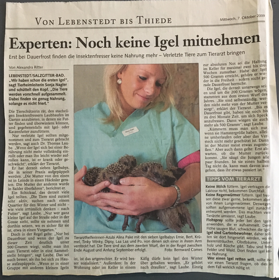 Zeitungsartikel 33