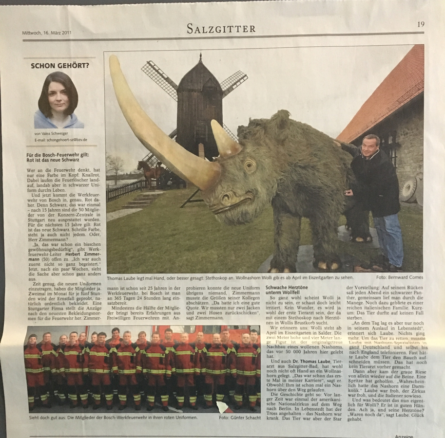 Zeitungsartikel 34